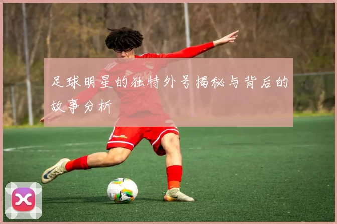 足球明星的独特外号揭秘与背后的故事分析